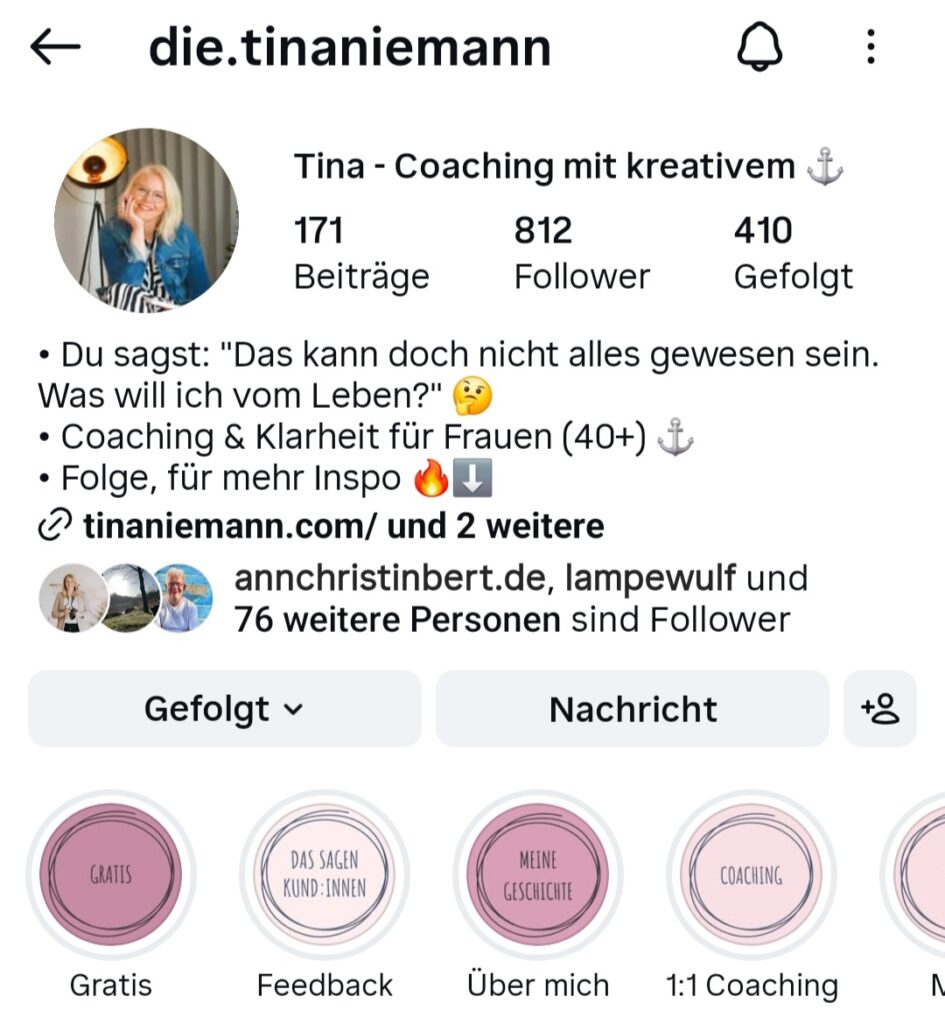 Instagram-Screenshot der Profil-Seite von @die.tinaniemann