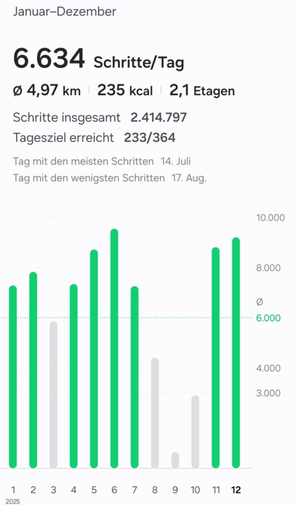 Screenshot von Tinas Schrittzähler-App mit einer Jahresübersicht